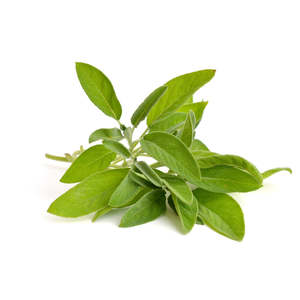 Soap Essential Oils: Sage, Spanish Essential Oil
