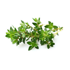 Soap Essential Oils: Thyme, White Essential Oil