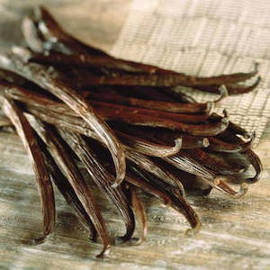 Very Vanilla Fragrance