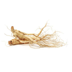 Organic Bioactives: PlantæDerMX® NZ Grown Ginseng Extract