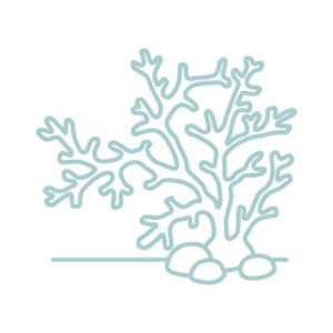 OceanDerMX® RESTORE & PROTECT