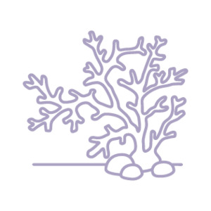 Organic Bioactives: OceanDerMX® CALM & SOOTHE