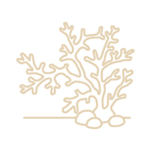 Organic Bioactives: OceanDerMX® BALANCE & BRIGHTEN