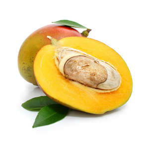 Lip Balm Kit Flavours: Mango