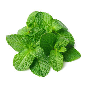 Mint