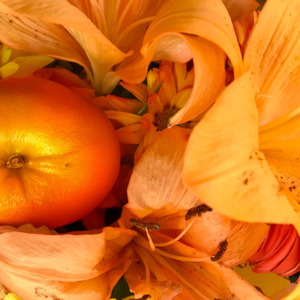 New Fragrances 1: Solar Petals and Tangerine Fragrance