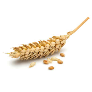 Soap Oils: Wheat Germ Oil, Refined