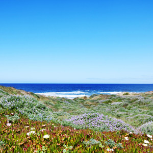 Pacific Coast Natural Fragrance