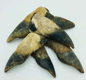 Air Dried Treats: Air Dried Deer Hooves - 2 Pack Small