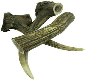 Bones Chews: Deer Antler - Large