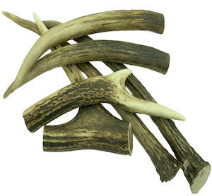 Bones Chews: Deer Antler - Small