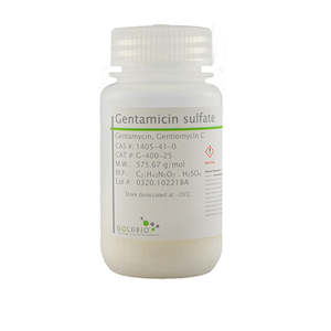 Gentamicin Sulfate USP/MOLBIO