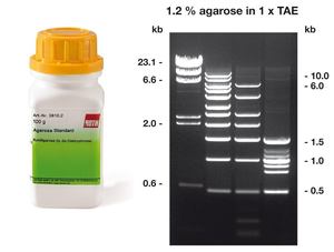 Agarose, DNAse-free, RNase-free