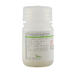 Thiostrepton - Molecular Biology Grade
