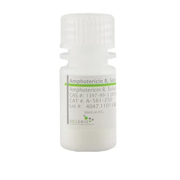 Gold Biotechnology: Amphotericin B, Solubilized - MOLBIO