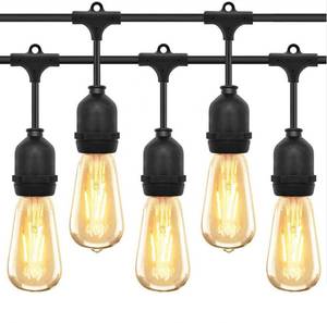 5M 10LED Bulbs Festoon String Lights - Purified NZ