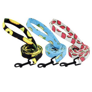 Dog Leads: Fruity Flavours Dog Lead
