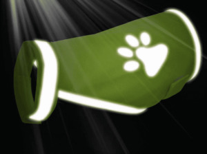 Cat Health Training: Cat & Dog High Vis Vest