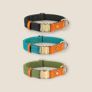 Two Tone Executive Dog Collar