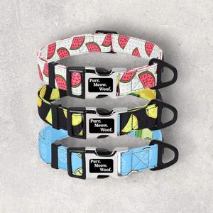 Dog Collars: Fruity Flavours Dog Collar