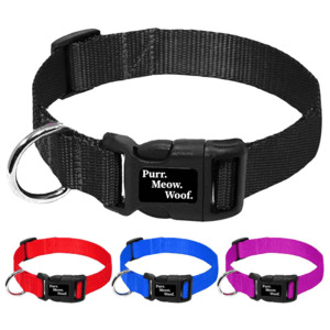 PMW Basics Dog Collar