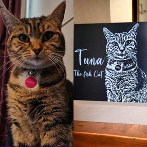 Pet Memorials: Pet Portraits