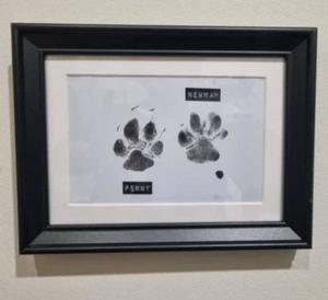 Paw Print Ink Kit