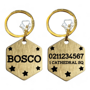 Name Front & 1 Number Address Back Bespoke Brass Hexagon Cat & Dog ID Pet Tag