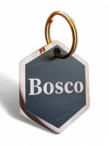 LUXE | Mirror Stainless | Hexagon Cat & Dog ID Pet Tag