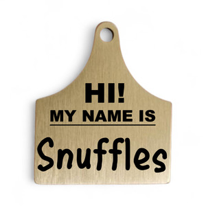 Hi My Name Is Brass Name Tag: HI! MY NAME IS | Bespoke Brass | Dog Pet ID Tag