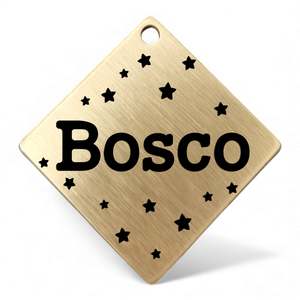 Square | Bespoke Brass | Pet ID Tag