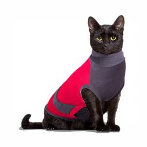 MAXX Surgical Recovery Suit | Cat
