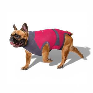 Maxx Medical Pet Care Clothing: MAXX Surgical Recovery Suit | Dog