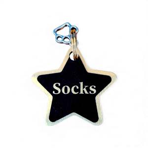 Luxe Bespoke Brass Star: LUXE | Bespoke Brass Star | Pet ID Tag