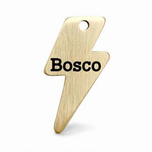 Lightning Bolt | Bespoke Brass | Pet ID Tag