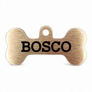 Petite Bone Bespoke Brass: Petite | Bespoke Brass Bone | Pet ID Tag