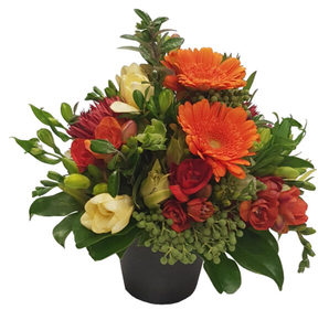 Country Pot Putts Green Florist Kerikeri