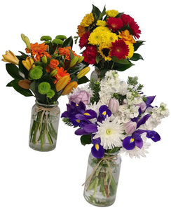 Products: Floral Hug Putts Green Florist Kerikeri