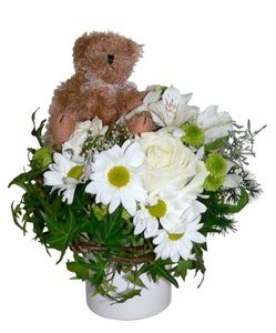 Products: Welcome Baby Mini Snuggles Putts Green Florist Kerikeri