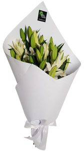White Lillies Putts Green Florist Kerikeri