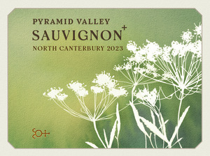 Colours Collection: 2023 North Canterbury Sauvignon +