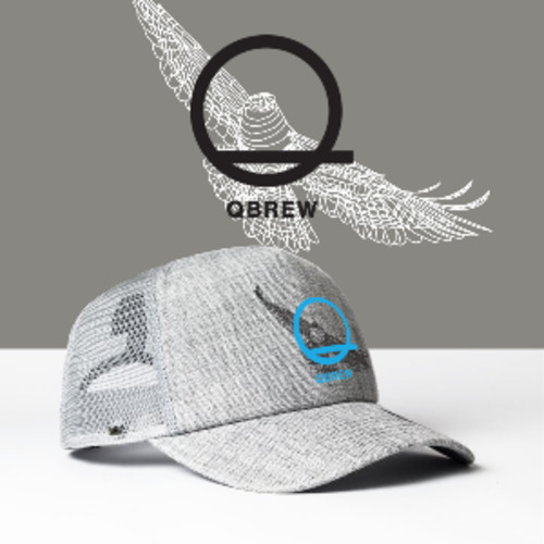 All: QBrew Silver Foam Cap