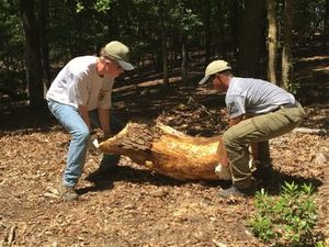 Correct Manual Handling