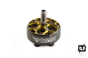 Rcinpower Wasp Major 22.6-6.6 2020kv - Quad Junkie