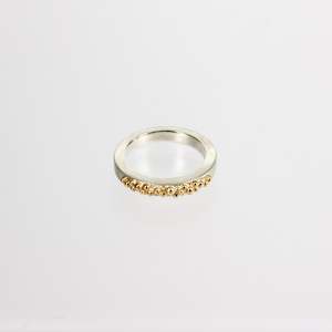 Rings: RMO34: Granule ring