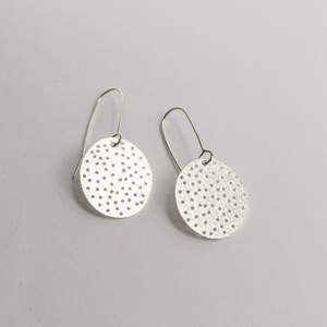 FS312: Holey disc earrings - shiny