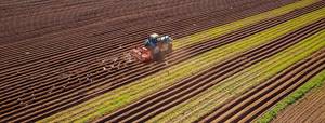 Products: Plain Harrow disc 768x8.0mm - Hole 1 1/2" Square Shafts - Quality Ag Parts