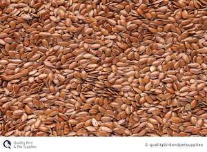 Bird Seed: Linseed