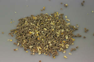 Poultry 1: Chook Mix