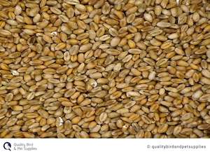 Poultry 1: Wheat 2nd's